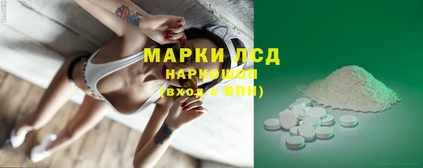 спайс Бородино