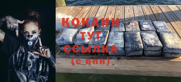 спайс Бородино