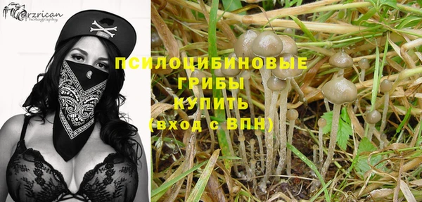 спайс Бородино