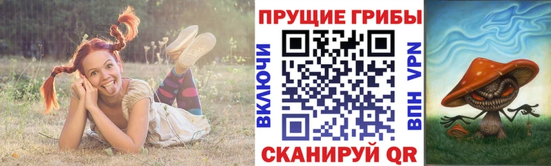 Галлюциногенные грибы MAGIC MUSHROOMS Купить закладки Новая Ладога
